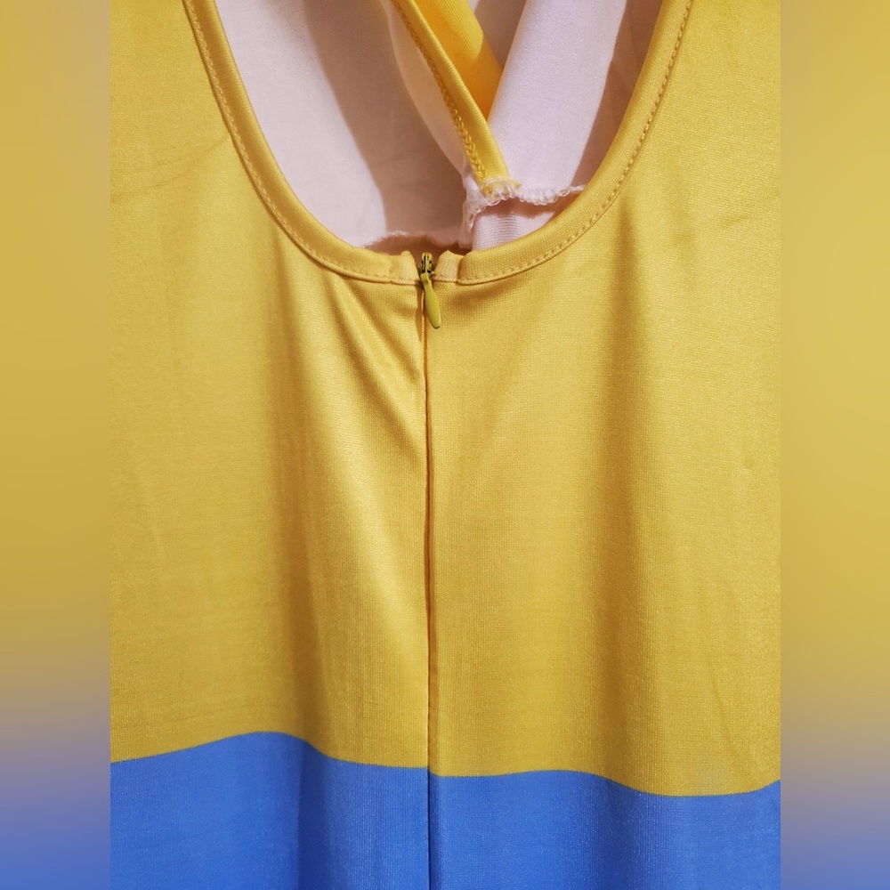 Color Block Dress - Picture 3 of 4